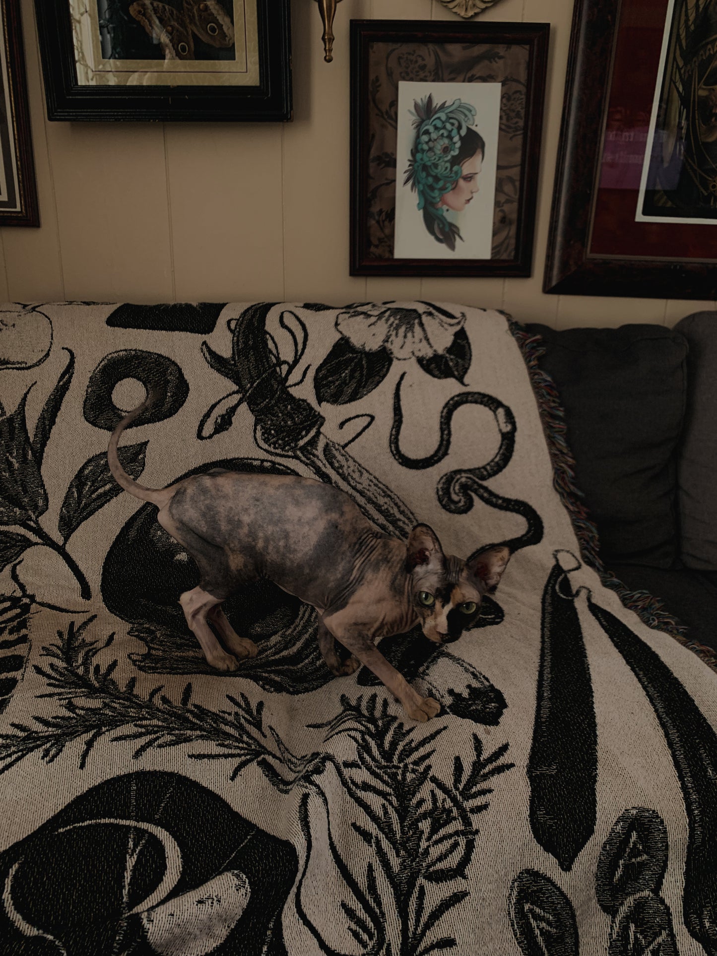 Witchcraft and nature merge onto this 100% cotton woven tapestry blanket