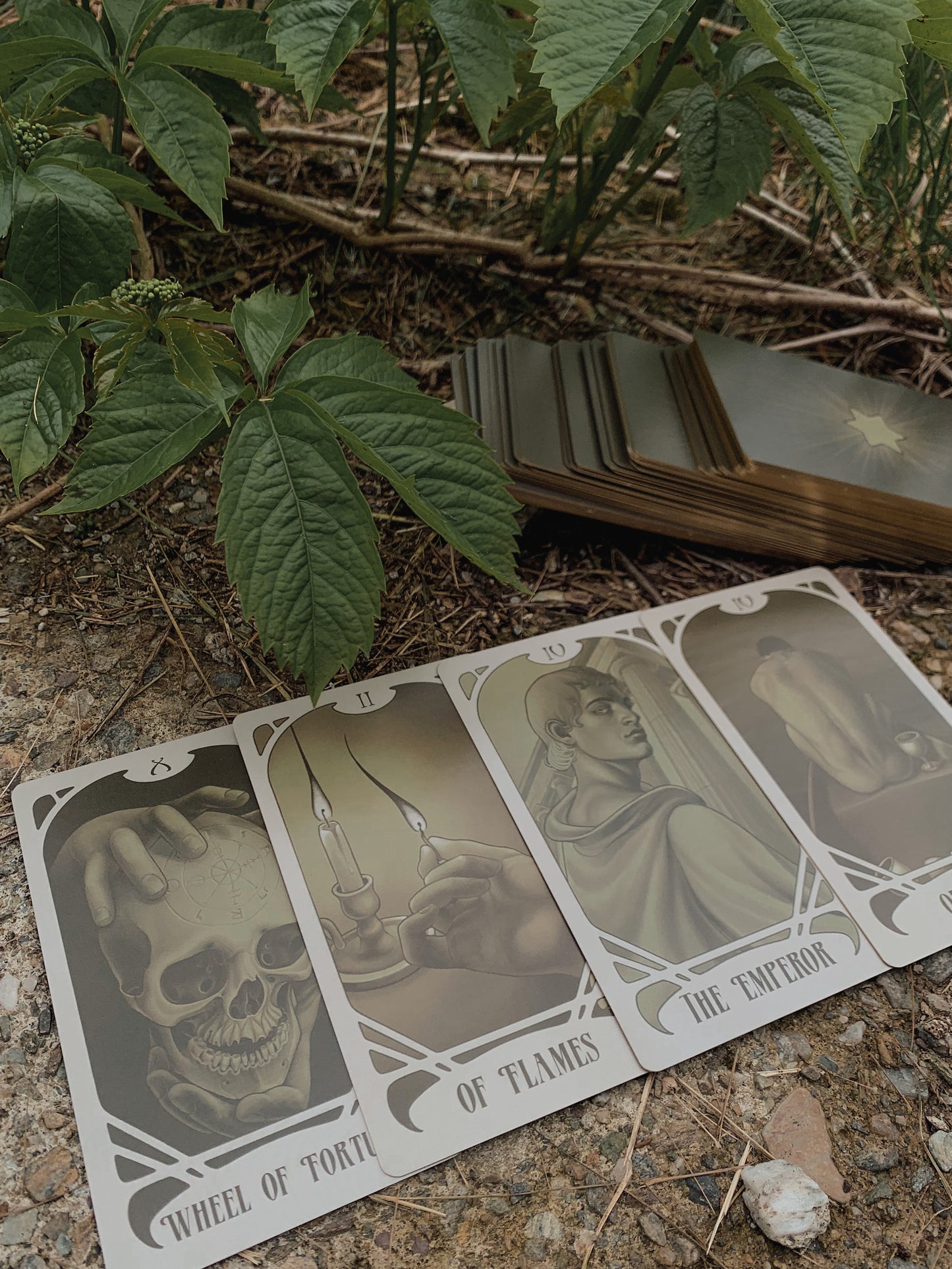 Le Tarot Vert
